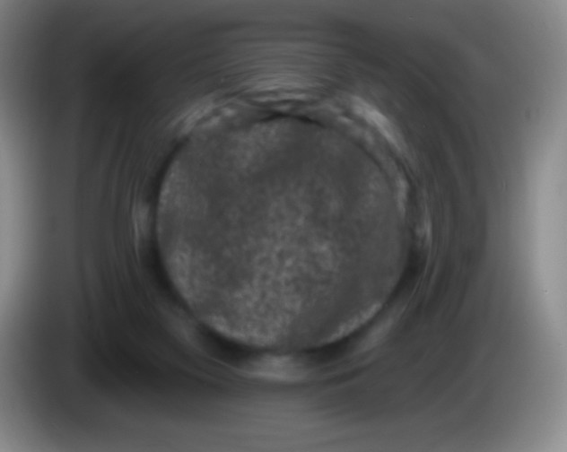 X0000083990117200703091853