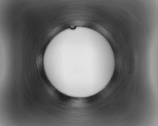 X0000083990118200703091853