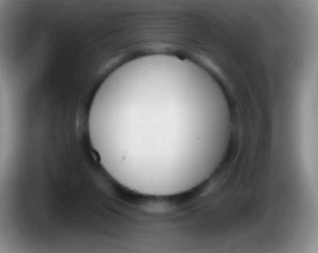 X0000083990119200703091853