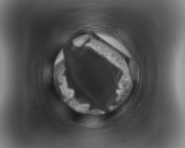 X0000083990127200703091853