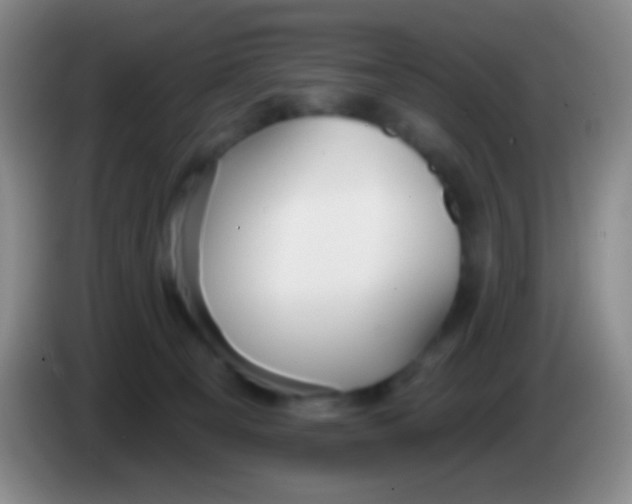 X0000083990129200703091853