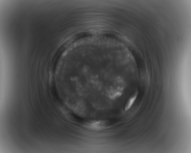 X0000083990130200703091853