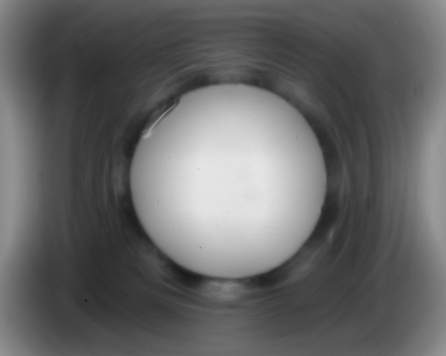 X0000083990133200703091853