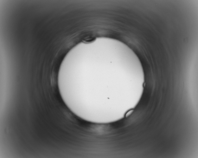 X0000083990135200703091853