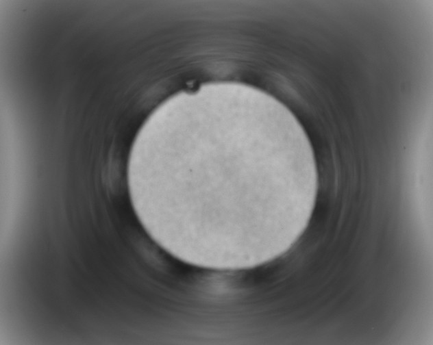 X0000083990136200703091853