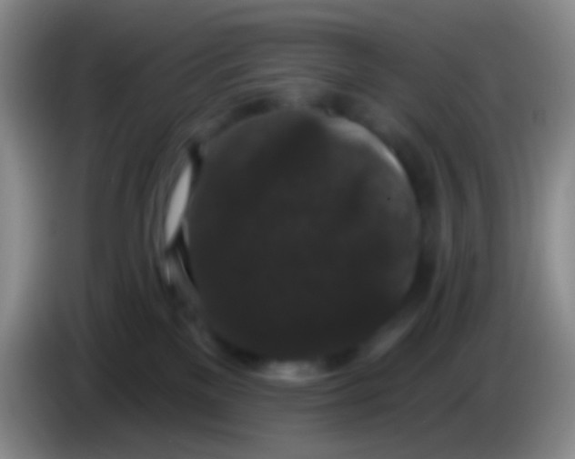 X0000083990137200703091853