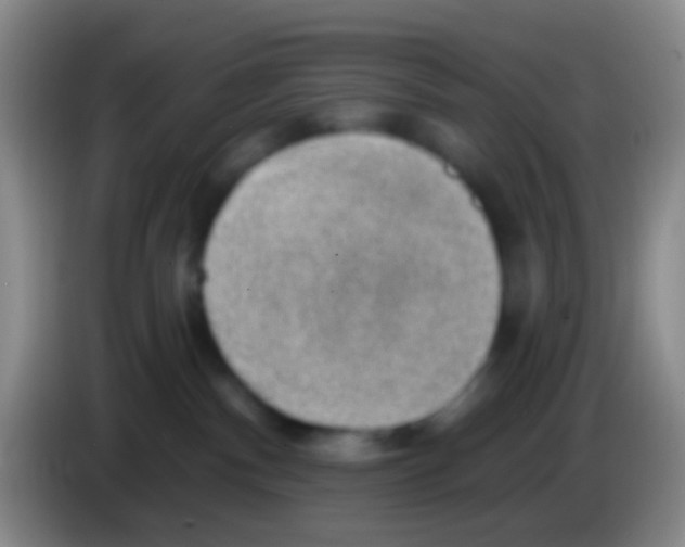 X0000083990140200703091853