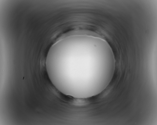 X0000083990141200703091853