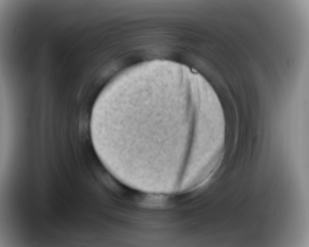 X0000083990144200703091853