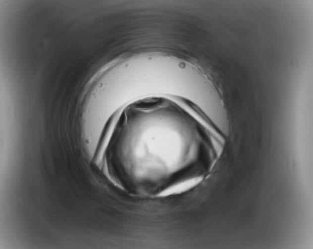 X0000083990146200703091852