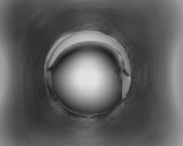 X0000083990148200703091852