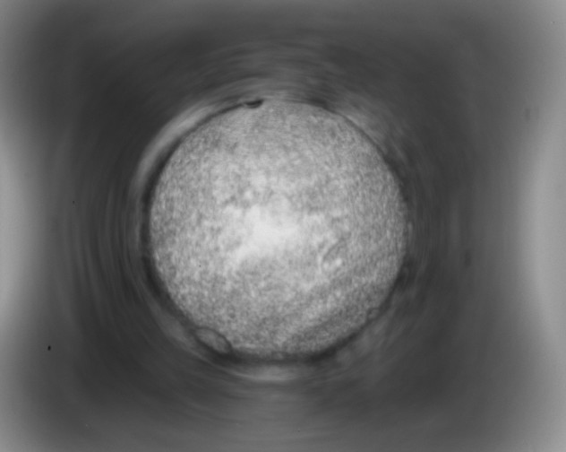 X0000083990149200703091852