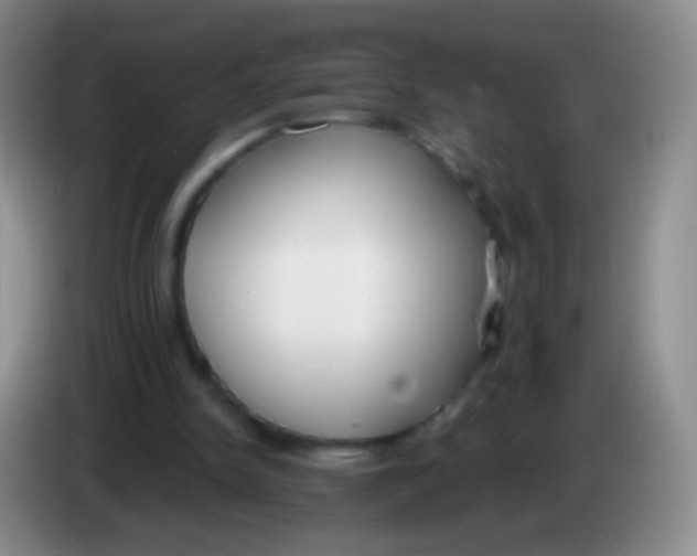 X0000083990150200703091852