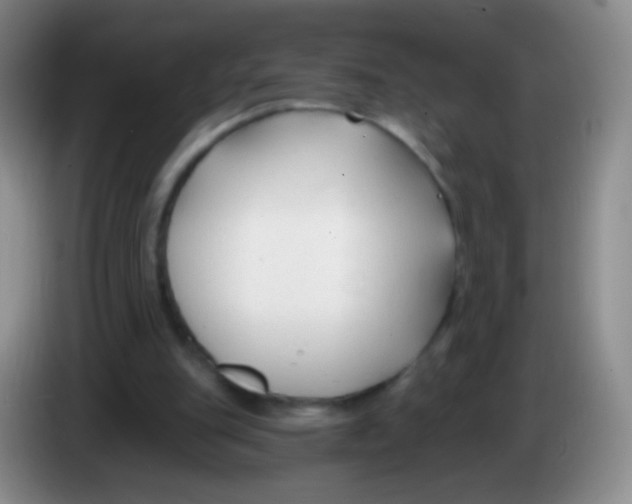 X0000083990151200703091852