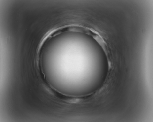 X0000083990152200703091852