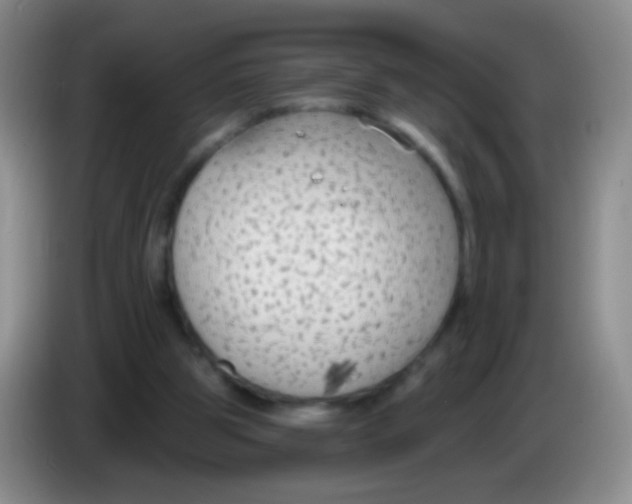 X0000083990153200703091852