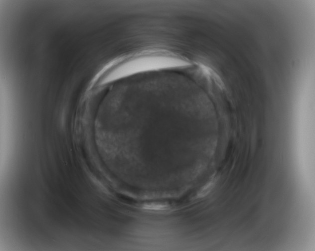 X0000083990156200703091852