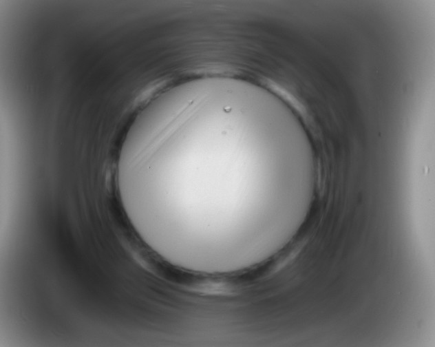 X0000083990157200703091852