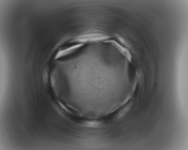 X0000083990158200703091852