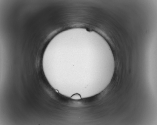 X0000083990159200703091852