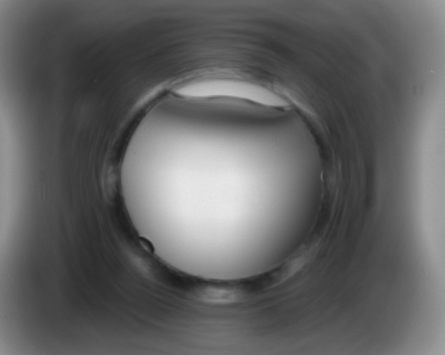 X0000083990160200703091852