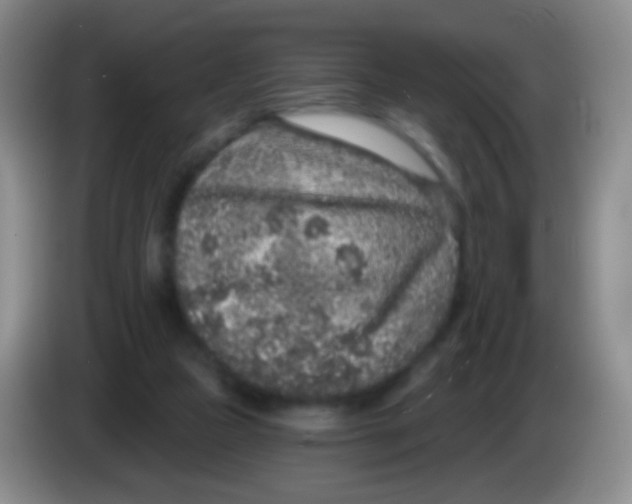 X0000083990161200703091852