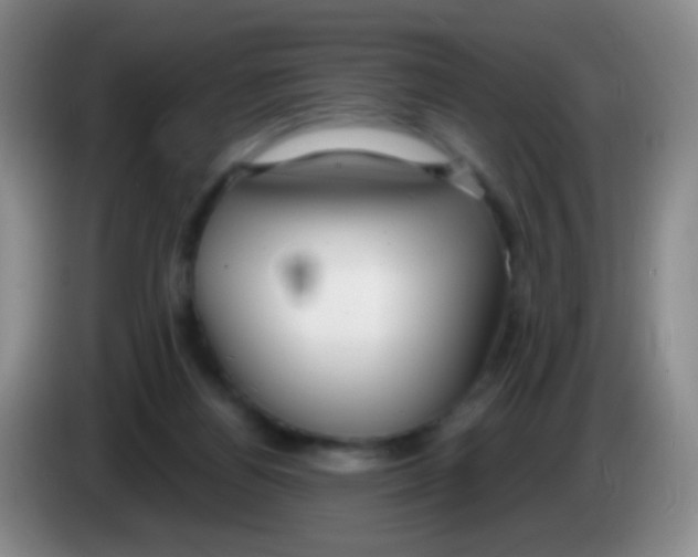 X0000083990164200703091852