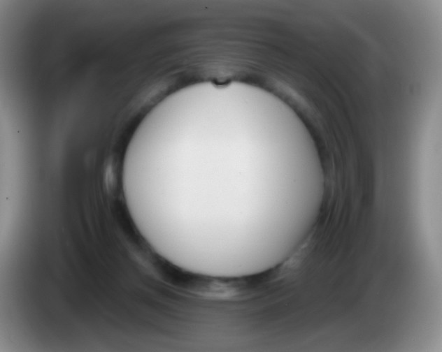 X0000083990166200703091852