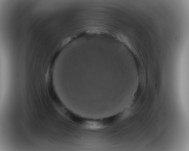 X0000083990167200703091852