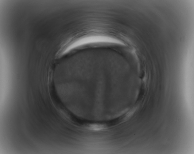 X0000083990168200703091852