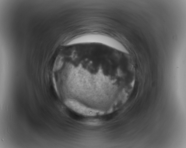 X0000083990169200703091852