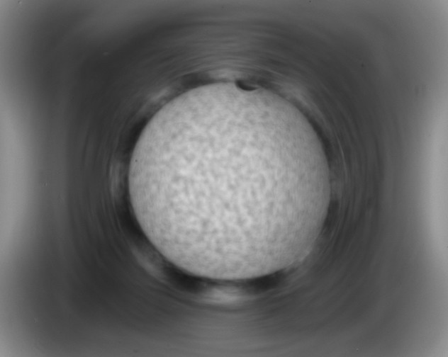 X0000083990171200703091853