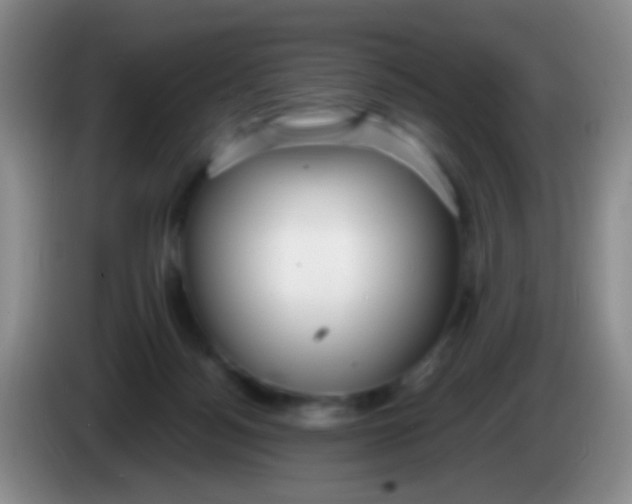 X0000083990172200703091853