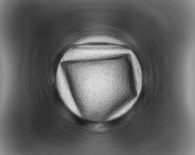 X0000083990173200703091853