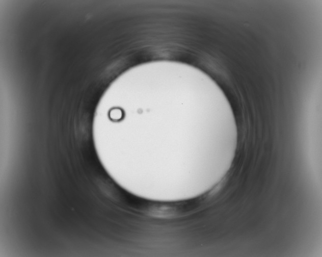 X0000083990174200703091853