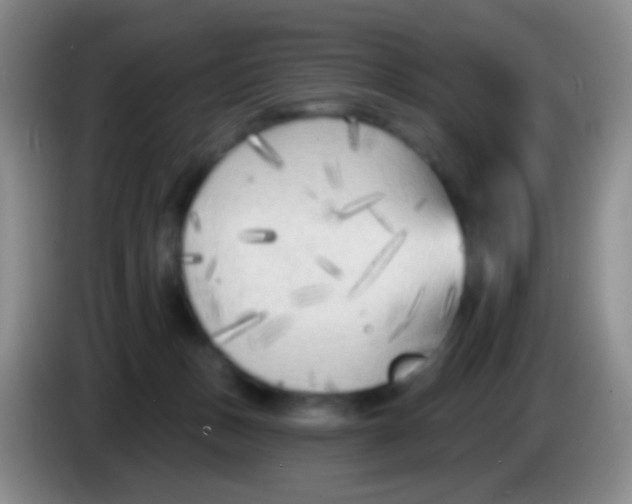 X0000083990175200703091853