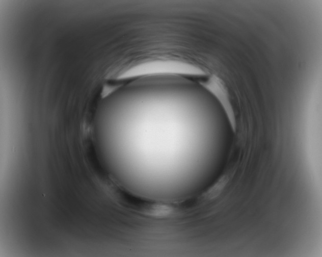 X0000083990176200703091853