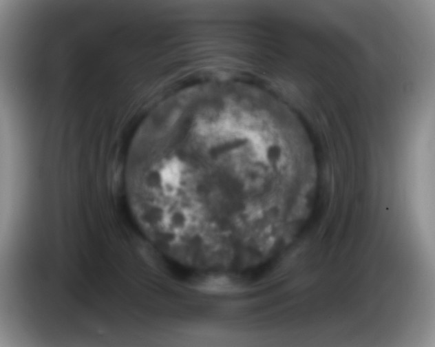 X0000083990177200703091853