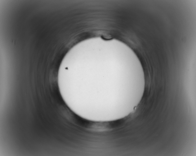 X0000083990179200703091853