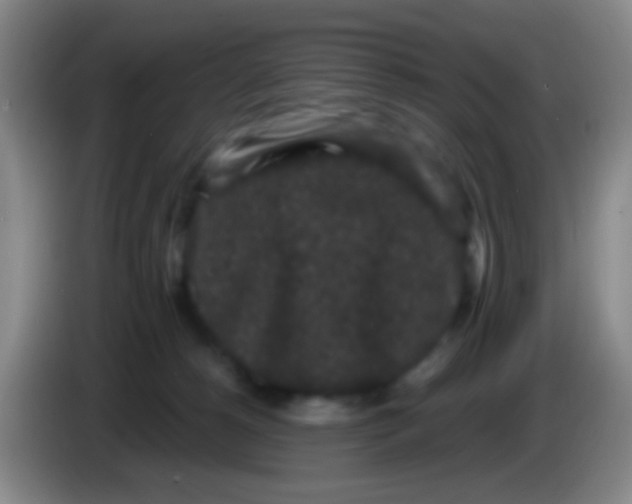 X0000083990180200703091853