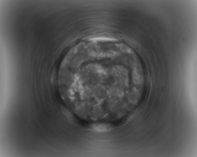 X0000083990181200703091853