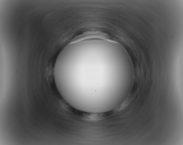 X0000083990184200703091853