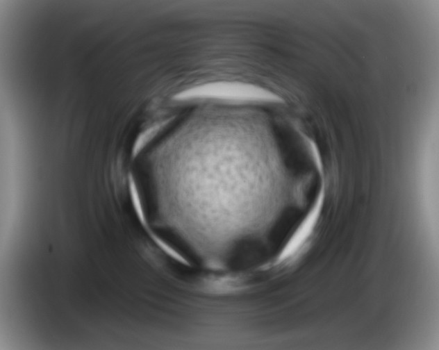 X0000083990186200703091853