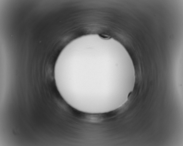 X0000083990187200703091853