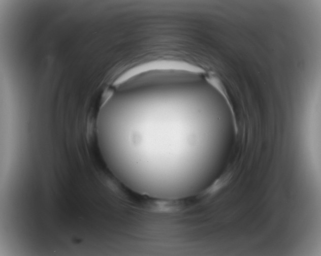 X0000083990188200703091853