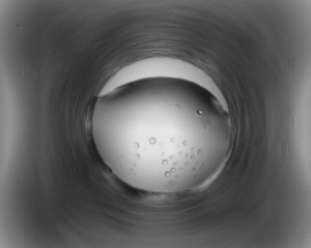 X0000083990190200703091853