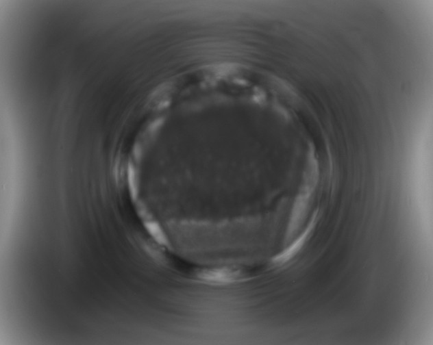 X0000083990191200703091853