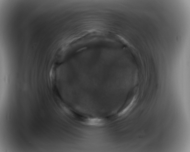 X0000083990192200703091853