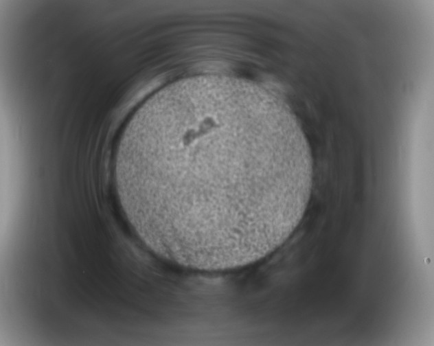 X0000083990194200703091852