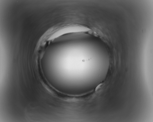 X0000083990197200703091852